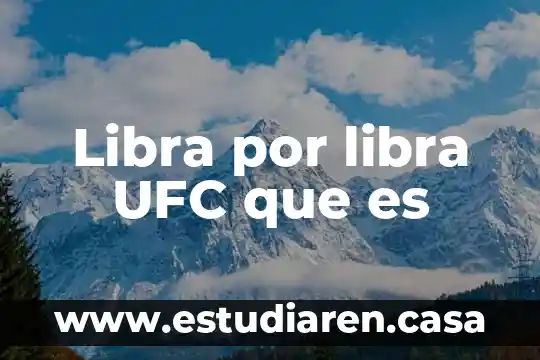 Libra por libra UFC que es