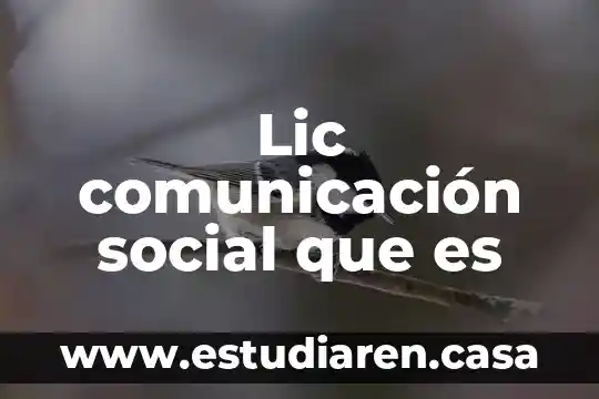 Lic comunicación social que es