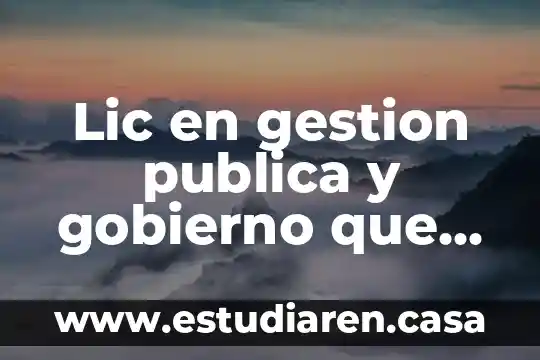 Lic en gestion publica y gobierno que es