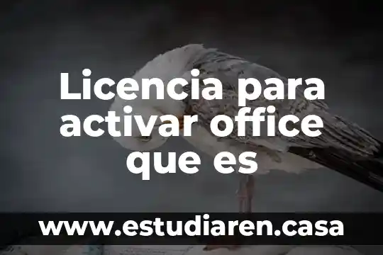 Fight night champion que es activar profile management screen 4 Licencia para activar office que es