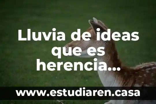 Lluvia de ideas que es herencia cultural