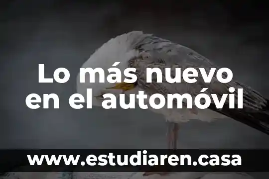 Lo más nuevo en el automóvil
