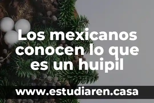 Los mexicanos conocen lo que es un huipil 9 Los mexicanos conocen lo que es un huipil