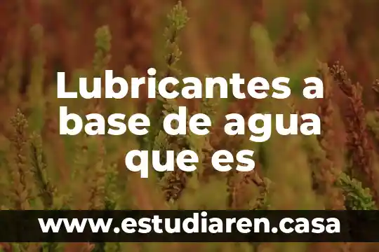 Lubricantes a base de agua que es