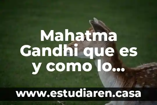 Mahatma Gandhi que es y como lo hacen