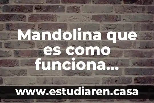 Que es un negocio multinivel y como funciona 3 Mandolina que es como funciona resumen