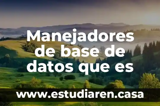 Manejadores de base de datos que es
