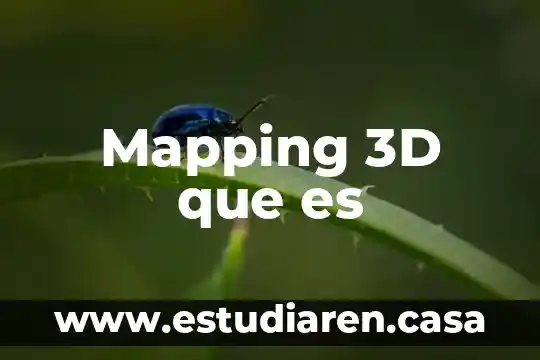 Quimicamente que es el resistol 3 Mapping 3D que es