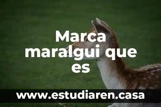 Marca maralgui que es