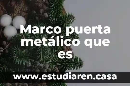 Marco puerta metálico que es