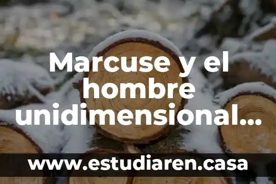 Marcuse y el hombre unidimensional que es una sociedad unidimensional
