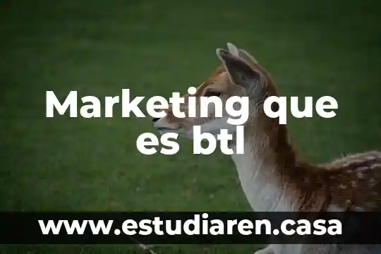 Que es mice marketing 5 Marketing que es btl