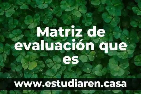 Matriz de evaluación que es