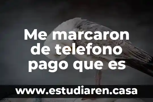 Que es el telefono rojo y cual es su importancia 5 Me marcaron de telefono pago que es