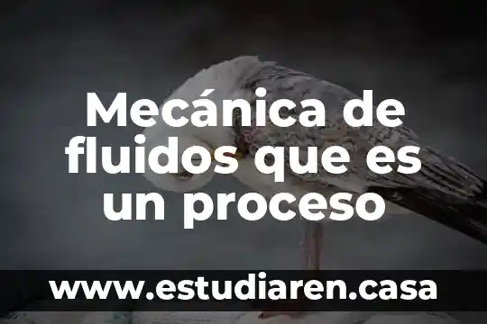 Que es una flecha en mecanica 8 Mecánica de fluidos que es un proceso