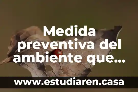 Que es it unidad de medida 6 Medida preventiva del ambiente que es