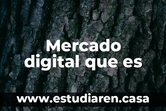 Mercado digital que es