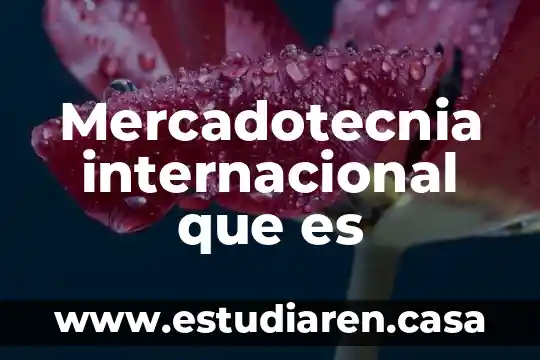 Mercadotecnia internacional que es