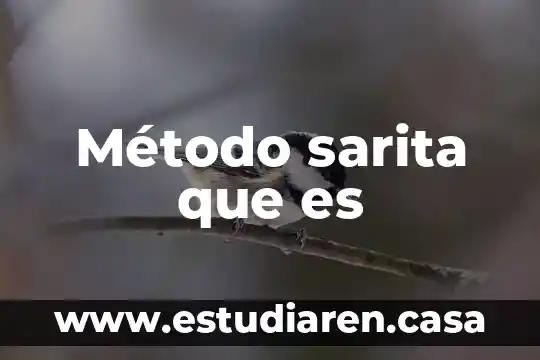 En quimica que es u 7 Método sarita que es