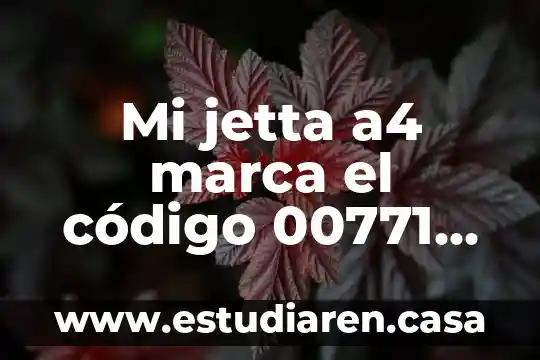 Código rural que es 3 Mi jetta a4 marca el código 00771 que es