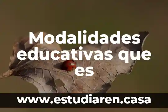 Qué es político-electorales 3 Modalidades educativas que es