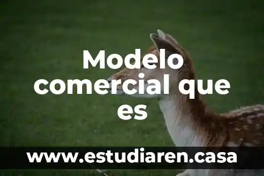 Modelo comercial que es