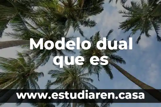 Que es una persona dual 4 Modelo dual que es