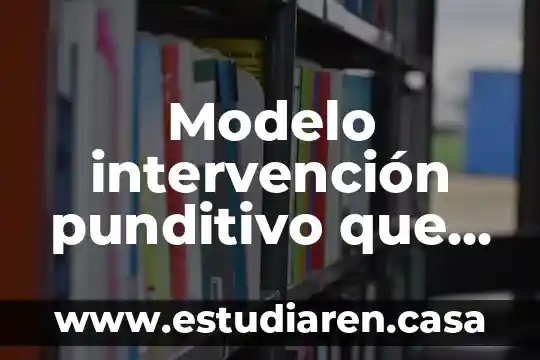 Que es un proyecto de intervencion concepto 7 Modelo intervención punditivo que es