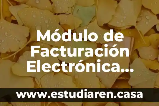Qué es algo analógico en electrónica 3 Módulo de Facturación Electrónica que es