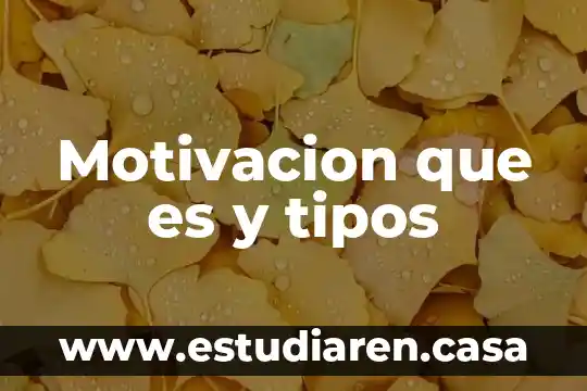 Motivacion que es y tipos
