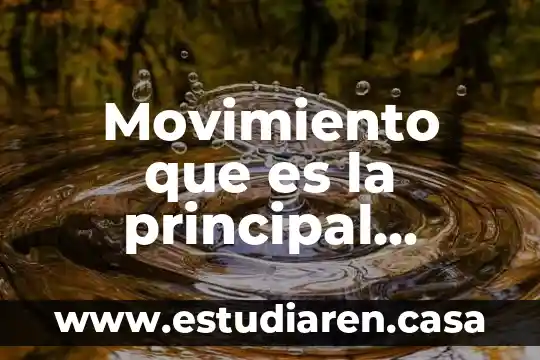 Que es un personaje principal cuento 8 Movimiento que es la principal actividad contractil del intestino delgado