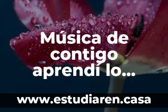 Por que es importante amar a alguien 3 Música de contigo aprendí lo hermoso que es amar