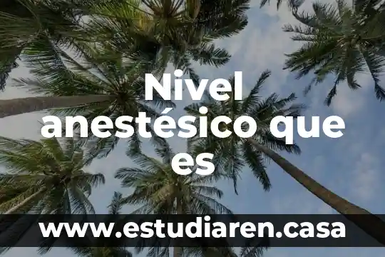 Que es un nivel erramienta 3 Nivel anest茅sico que es