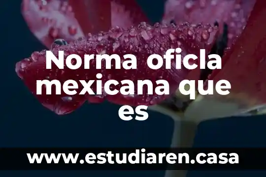 Que es una norma juridica autor lopez gutierrez 5 Norma oficla mexicana que es