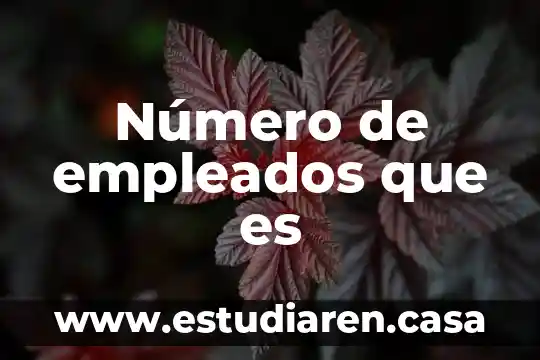 Número de empleados que es