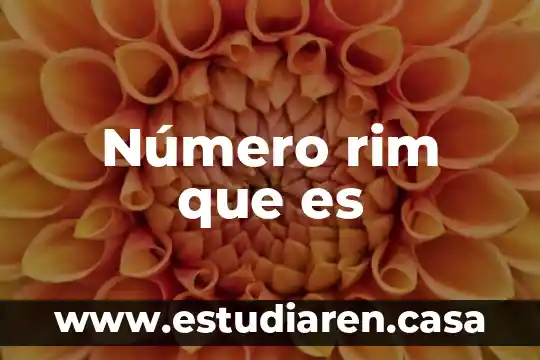 Número rim que es