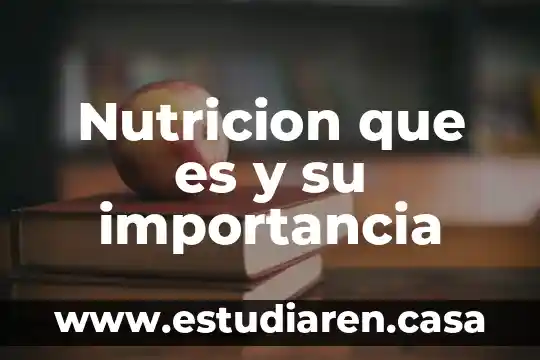 Adsorción que es en nutricion 3 Nutricion que es y su importancia