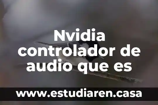 Nvidia controlador de audio que es