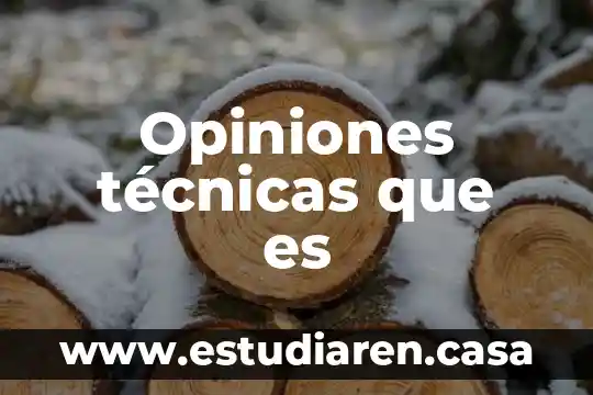 Que es la quimica opiniones personales 5 Opiniones técnicas que es