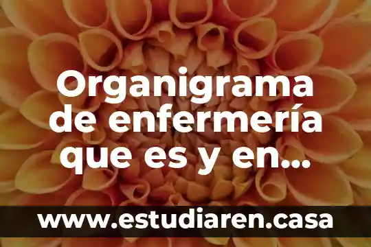 Que es cct mod lg g3 5 Organigrama de enfermería que es y en que consiste