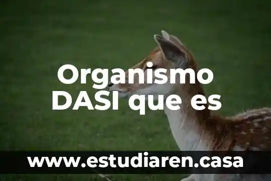 Que es fricion en fisica 7 Organismo DASI que es