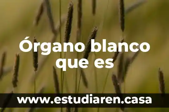 Qué es un órgano tejido en los seres vivos 3 Órgano blanco que es