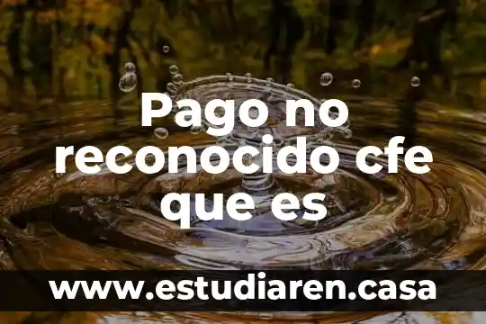 Que es pago bloqueado 3 Pago no reconocido cfe que es