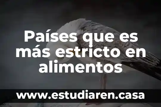 Que es mas importante la actitud o la habilidad 8 Países que es más estricto en alimentos