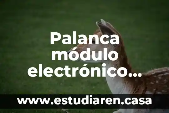 Palanca módulo electrónico que es