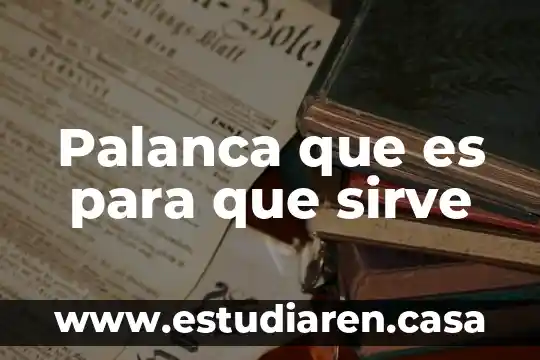 Palanca que es para que sirve
