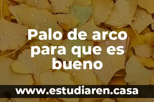 Que es el arco ejemplos 3 Palo de arco para que es bueno