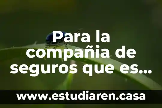 Para la compañia de seguros que es un peaton