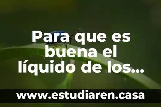 Qué es un recurso líquido financieramente 8 Para que es buena el líquido de los higos