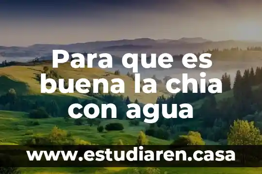 Para que es buena la chia con agua